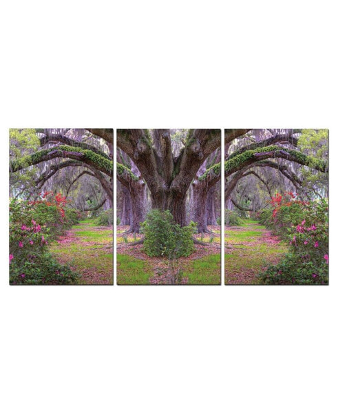 Decor Lavender Cherry 3 Piece Wrapped Canvas Wall Art Garden -27" x 60"