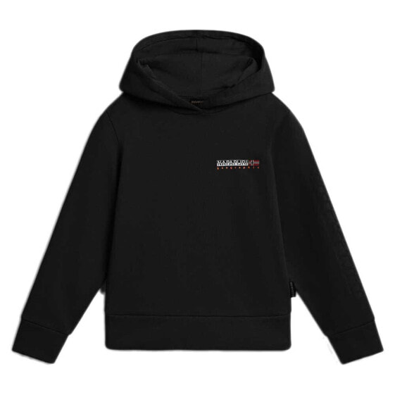 NAPAPIJRI B-Neutrinos hoodie