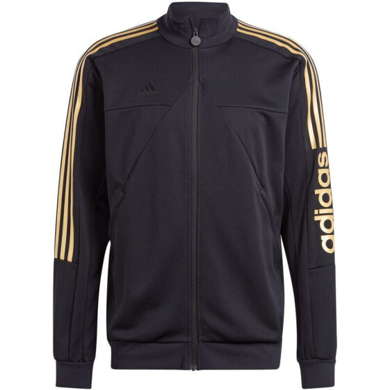 Adidas Tiro Wordmark M IM2920 sweatshirt