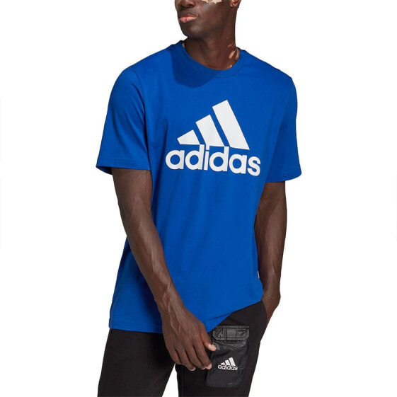 Regista20 футболка adidas синяя