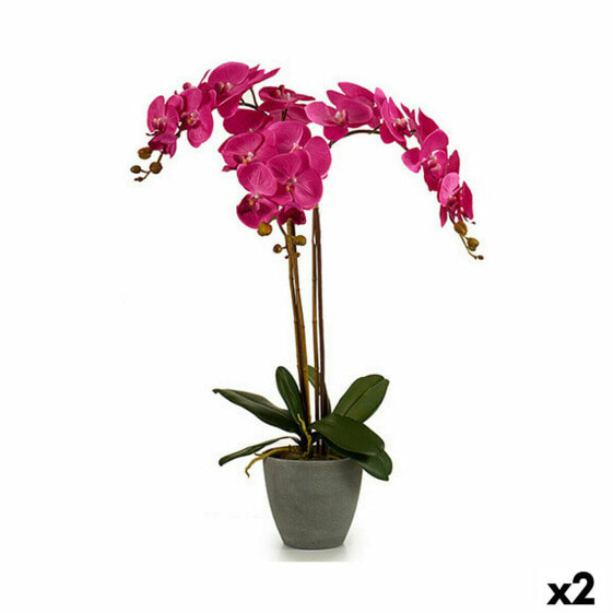 Декоративное растение Орхидея Пластик 60 x 78 x 44 cm (2 штук)