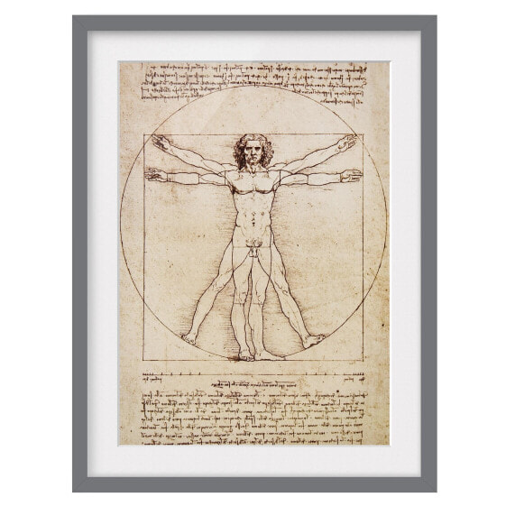 Bild Da Vinci III