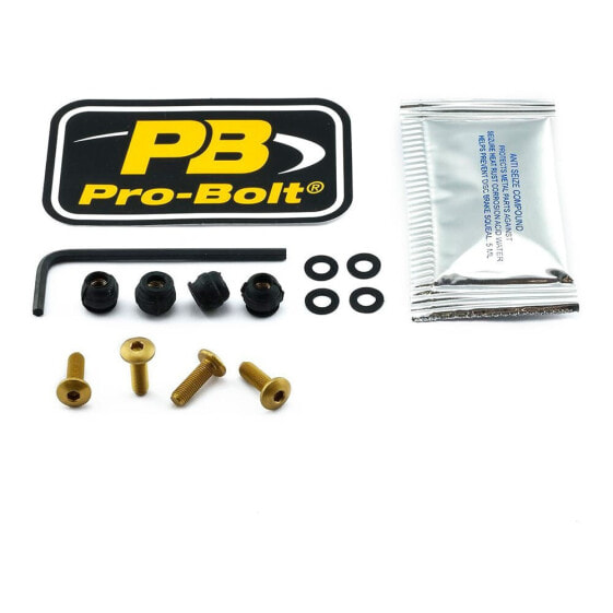 PRO BOLT SCR 4 SKDUC4G Windshield Screws