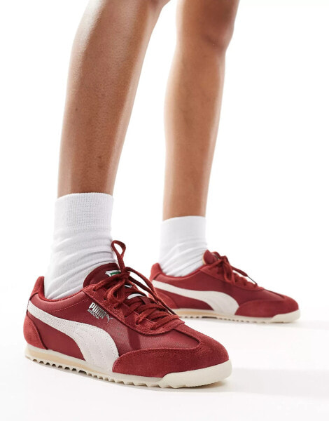 Puma Arizona Nylon trainers in burgundy