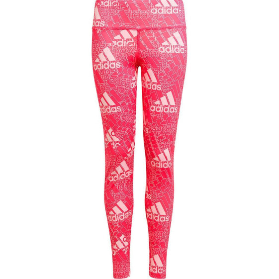 ADIDAS BL Leggings