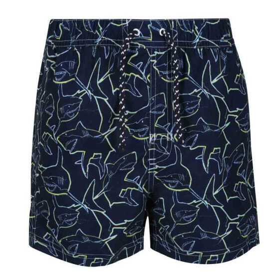 REGATTA Skander II Swimming Shorts