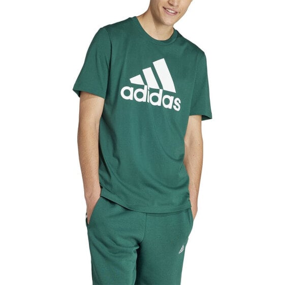 ADIDAS Essentials Single Jersey Big Logo short sleeve T-shirt