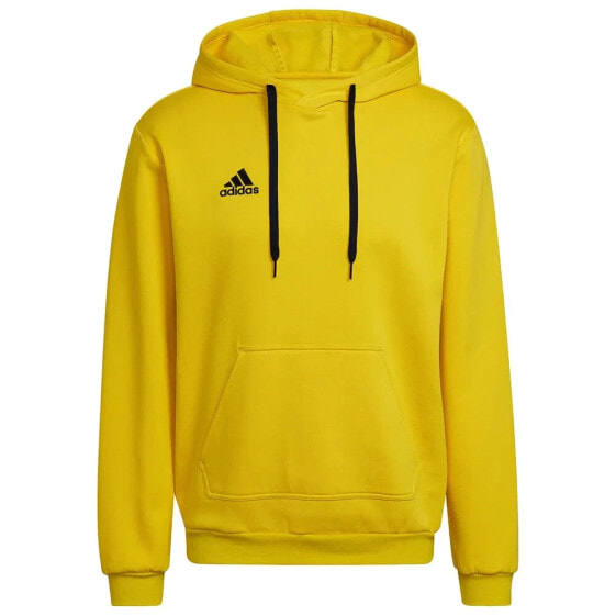 Толстовка спортивная Adidas Entrada 22