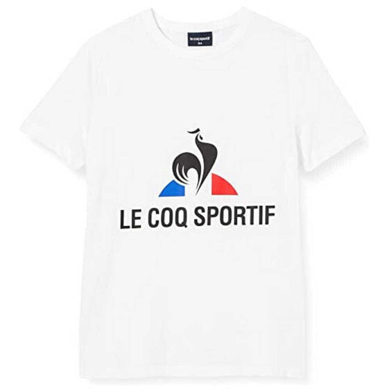 Футболка мужская LE COQ SPORTIF Fanwear Short Sleeve черная