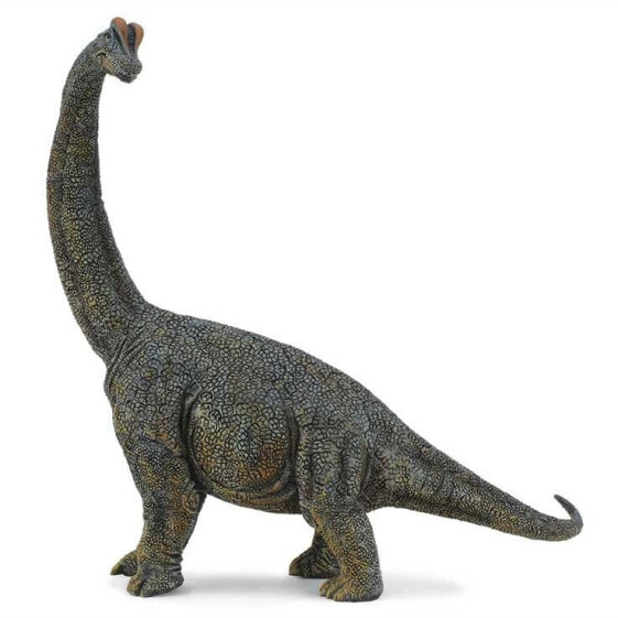 COLLECTA Brachiosaurus Deluxe 1:40 Figure