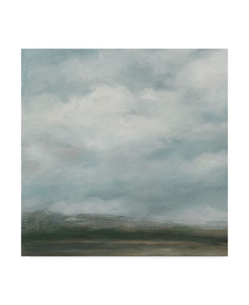Ethan Harper Cloud Mist I Canvas Art - 15" x 20"