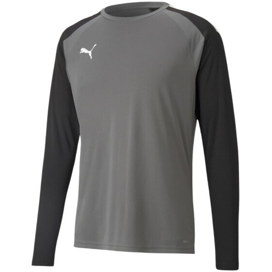 Толстовка спортивная PUMA teamPacer GK LS M для вратаря