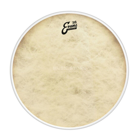 Evans Calftone TT16CT 16" Bass Drum Batter Tom Hoop