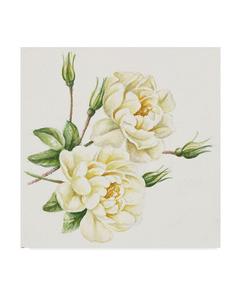 Janneke Brinkman-Salentijn 'Single Yellow Rose' Canvas Art - 14" x 14"