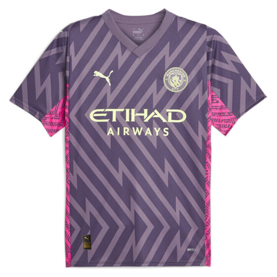 Puma Mcfc Gk V Neck Short Sleeve Soccer Jersey Replica Mens Purple 77047198