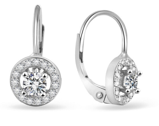 Silver glittering earrings with zircons AGUC2700