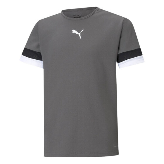 Puma Teamrise Jersey