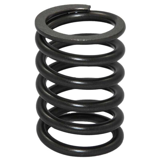 BUKH DV24/29/36/48 Valve Spring