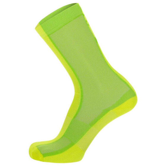 SANTINI Puro socks