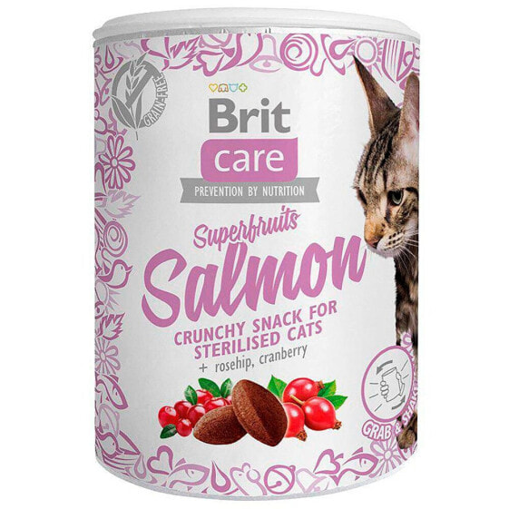 BRIT Care Superfruits Salmon 100g Cat Snack