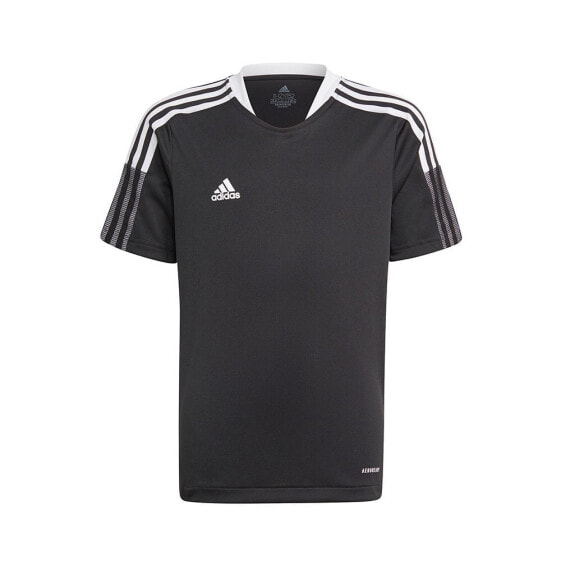 ADIDAS Tiro 21 Training short sleeve T-shirt