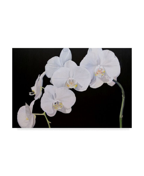 Sandra Iafrate Dramatic Orchids I Canvas Art - 20" x 25"