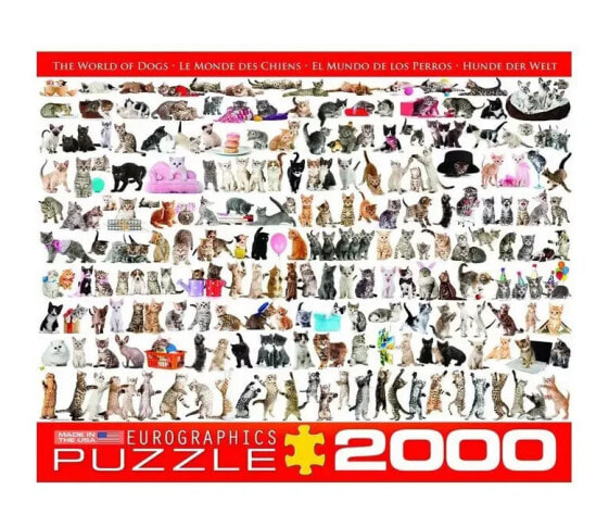 Puzzle Katze 2000 Teile