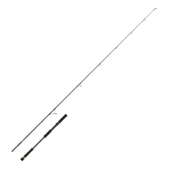 CINNETIC Rayforce XBR Boat Casting spinning rod