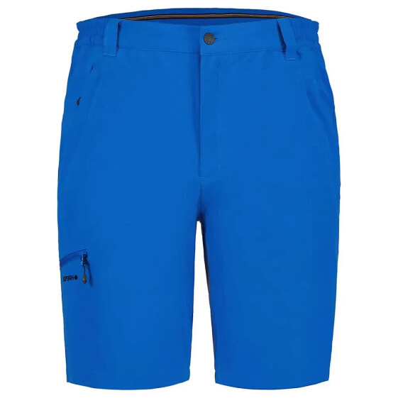 ICEPEAK Berwyn Shorts