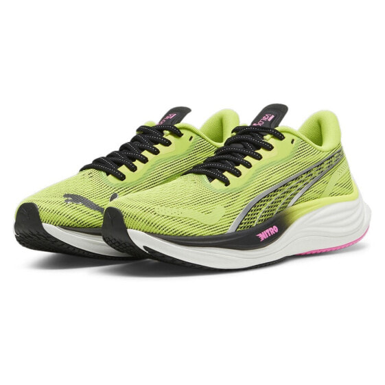 PUMA Velocity Nitro 3 PSychedelic Rush running shoes