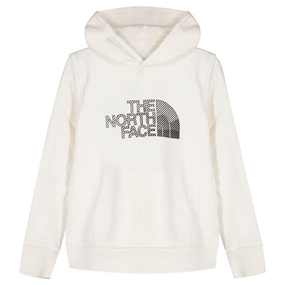 THE NORTH FACE Biner Graphic hoodie