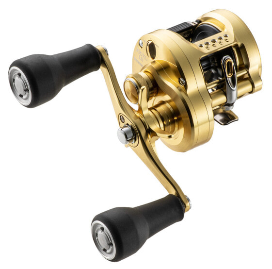 Shimano CALCUTTA CONQUEST MD Round Reels (CTCNQMD300XGLHB) Fishing