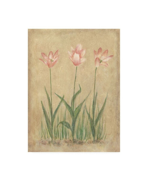 Debra Lake Pink and White Tulips Canvas Art - 27" x 33.5"