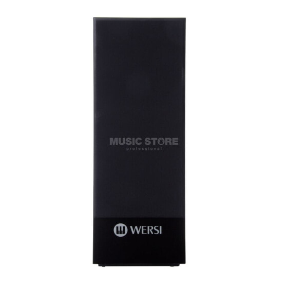 Wersi TS9000 Active Speakers - Black Metallic