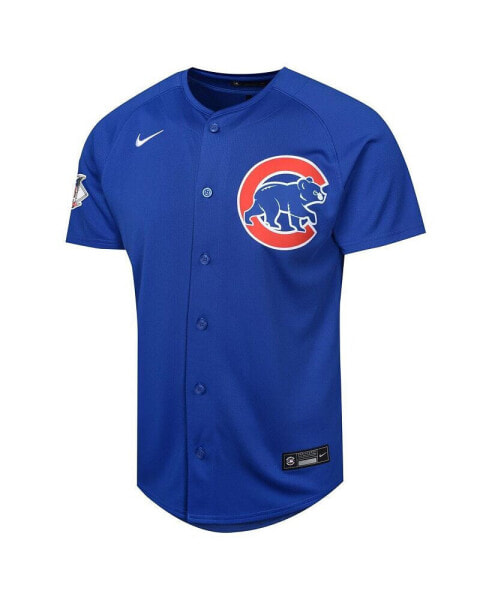Nike Big Boys and Girls Dansby Swanson Royal Chicago Cubs Alternate Limited Player Jersey