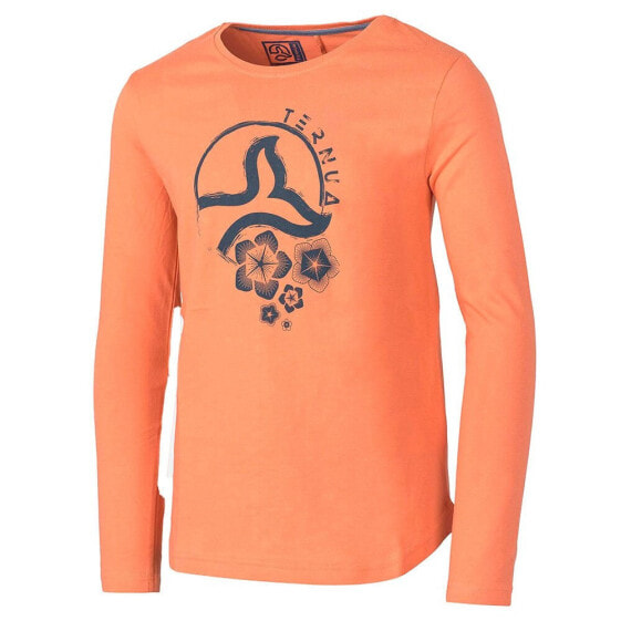 TERNUA Intron long sleeve T-shirt