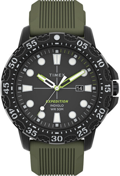 Часы Timex Expedition Gallatin TW4B25400