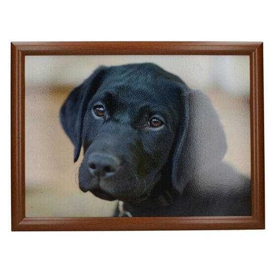 CREATIVE TOPS Black Labrador Tray