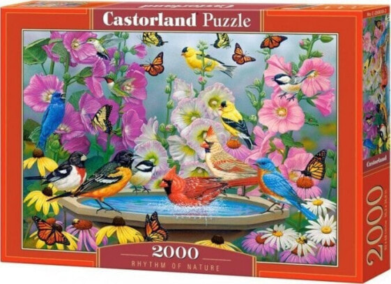 Castorland Puzzle 2000 Rhythm of Nature