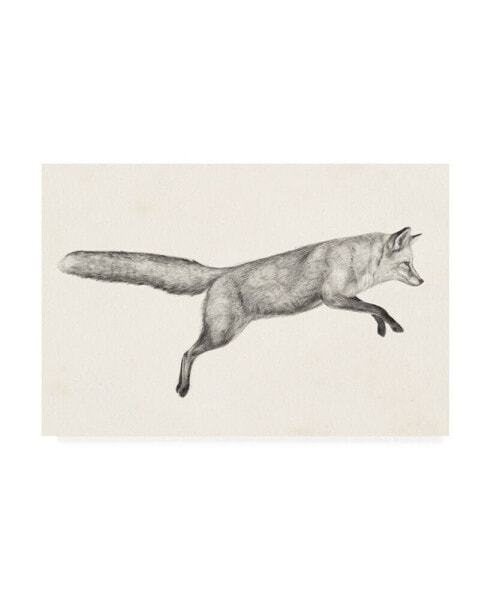 Victoria Borges Flying Fox I Canvas Art - 27" x 33.5"