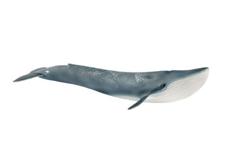 Schleich Wild Life Blue whale - 3 yr(s) - Boy/Girl - Multicolour - Plastic - 1 pc(s)