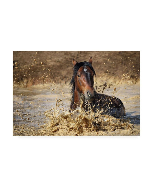 Vedran Vidak Horse in Water Canvas Art - 20" x 25"