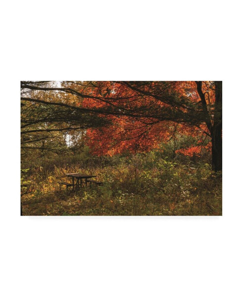 Kurt Shaffer Photographs Lovely spot for an Autumn picnic Canvas Art - 19.5" x 26"
