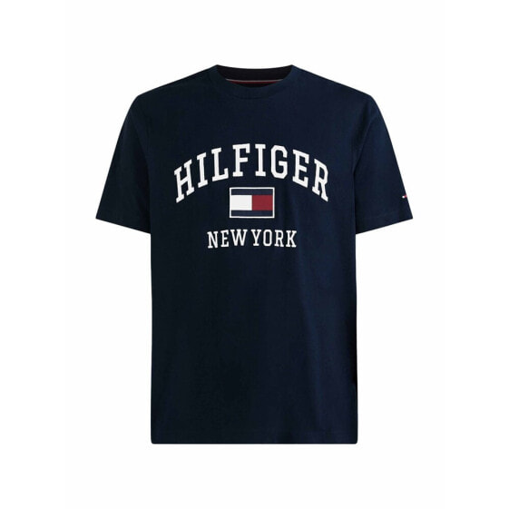 Футболка мужская Tommy Hilfiger MW0MW28218DW5