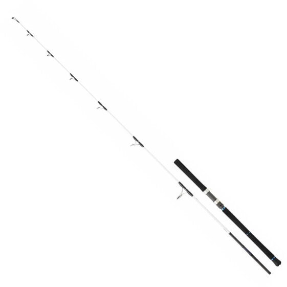 DAIWA Saltist Off Shore spinning rod