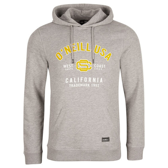 Толстовка O'Neill State Hoodie