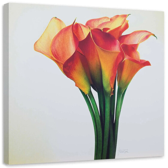 Wandbilder Calla Lilien Blumen Orange