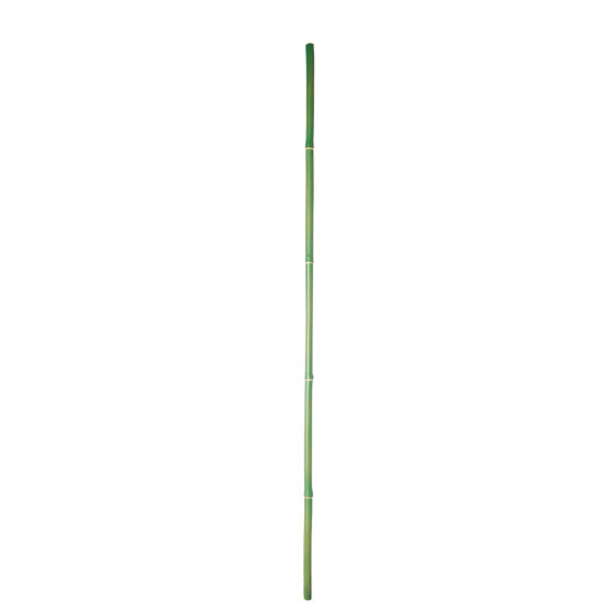 Bambus-Stängel