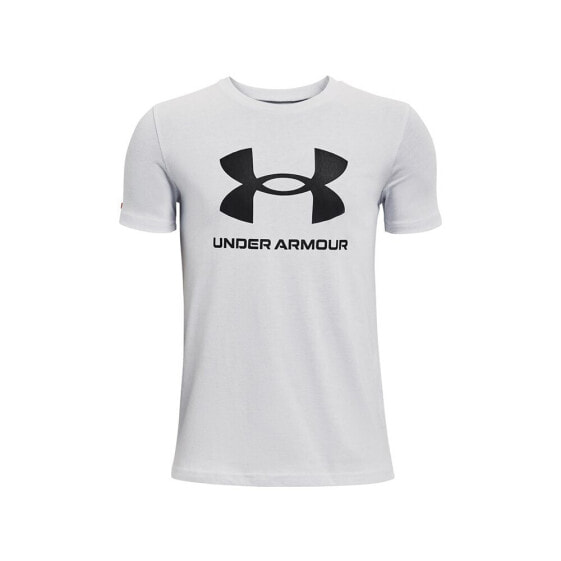 Футболка мужская Under Armour Sportstyle Logo