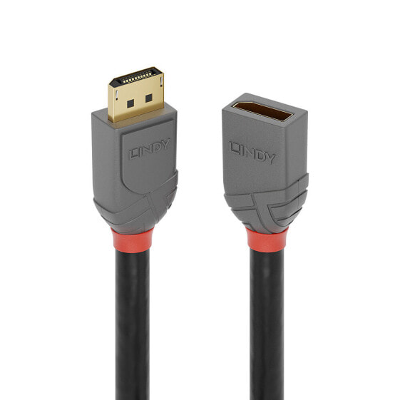 Lindy 1m DP 1.4Extension - Anthra Line - 1 m - DisplayPort - DisplayPort - Male - Female - 7680 x 4320 pixels